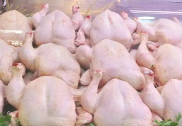 Les autorités saisissent plus de 137 kg de poulet impropre à la consommation
