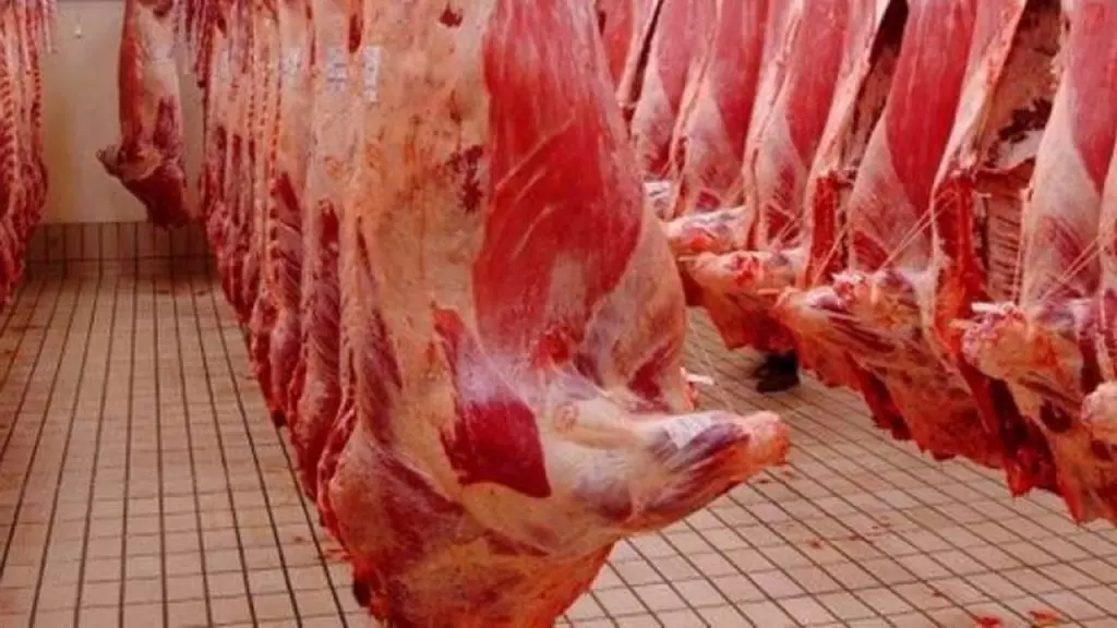 Importation de viandes : la provenance et les quantités dévoilées