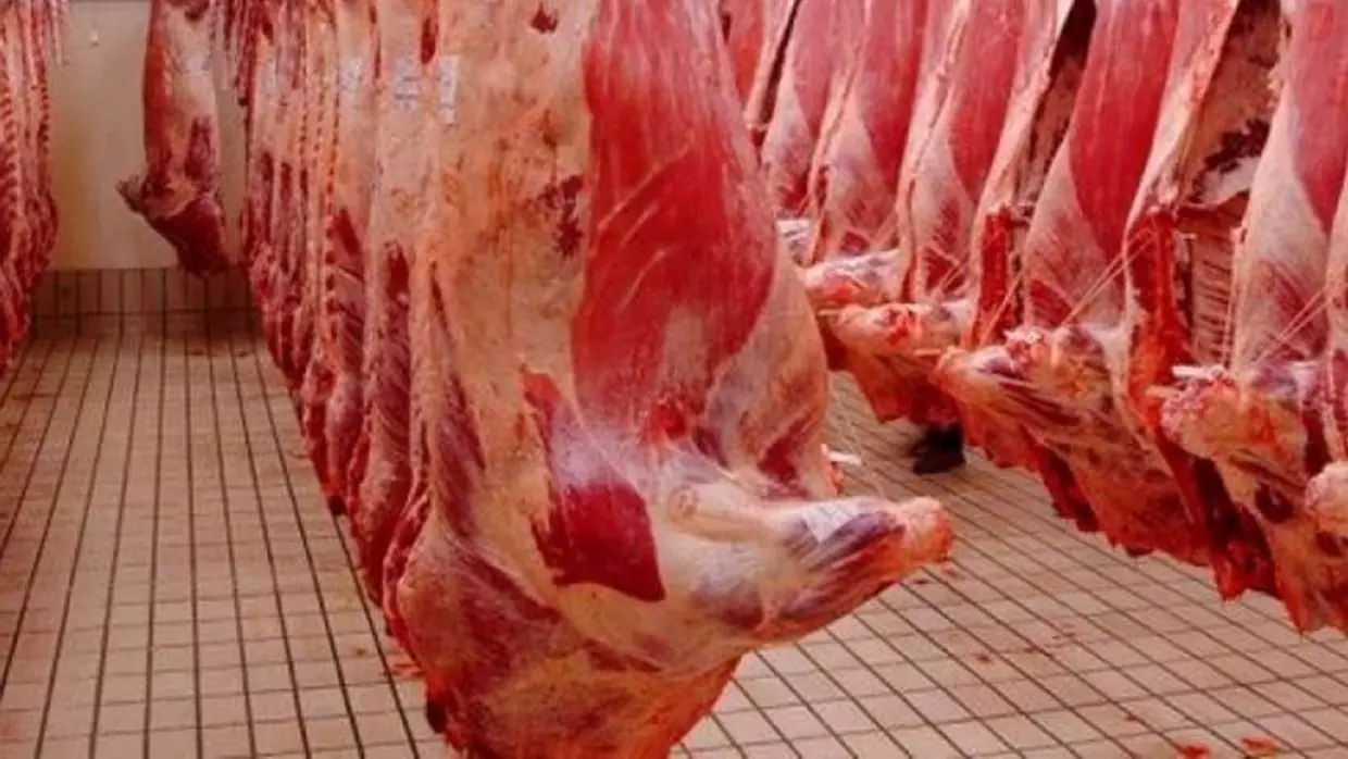 Viandes rouges : l’importation ultime solution pour casser les prix