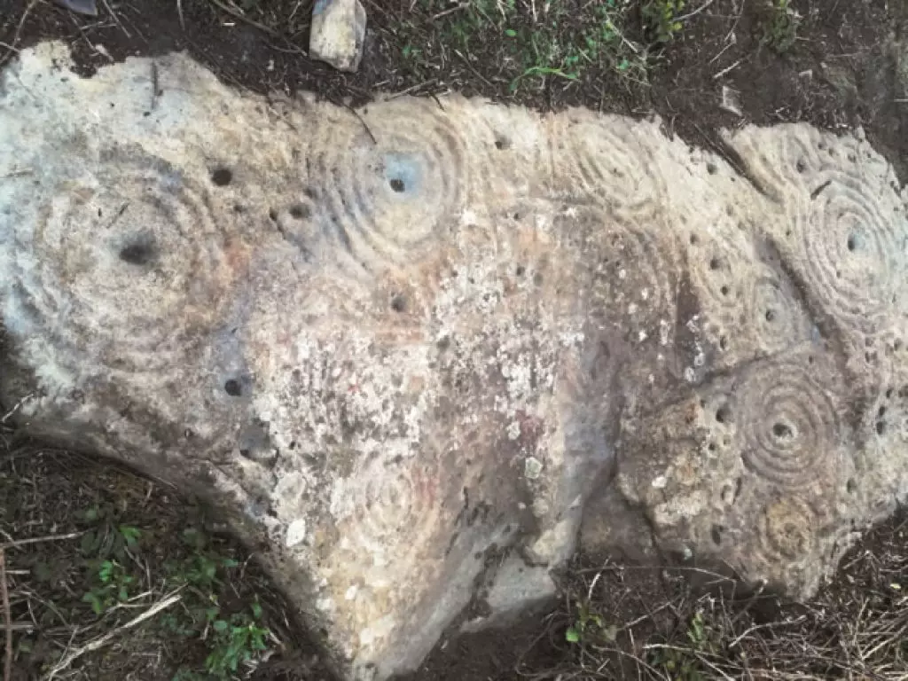 Une étrange stèle préhistorique découverte dans la forêt d’Akfadou