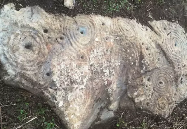 Une étrange stèle préhistorique découverte dans la forêt d’Akfadou