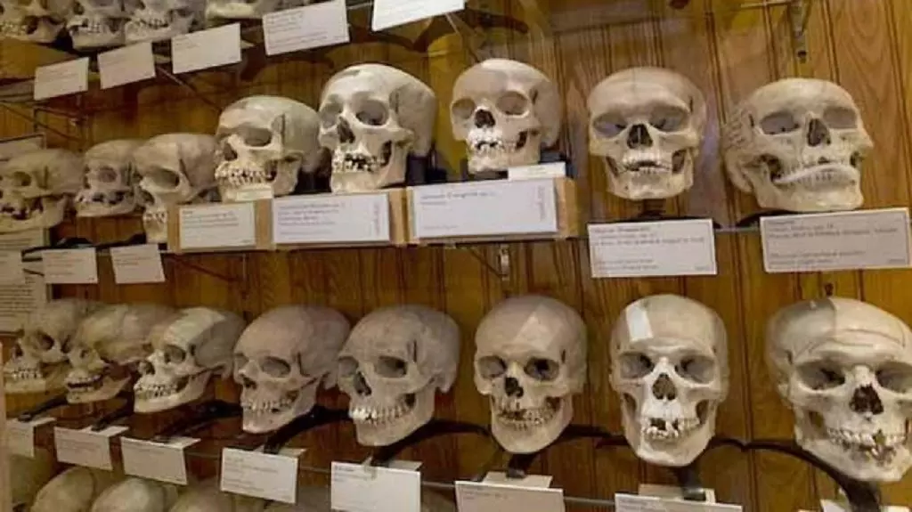 Du nouveau dans le dossier de la restitution des crânes des Martyrs