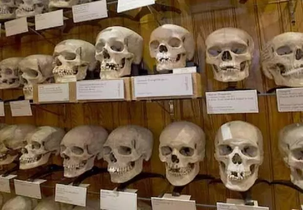 Du nouveau dans le dossier de la restitution des crânes des Martyrs