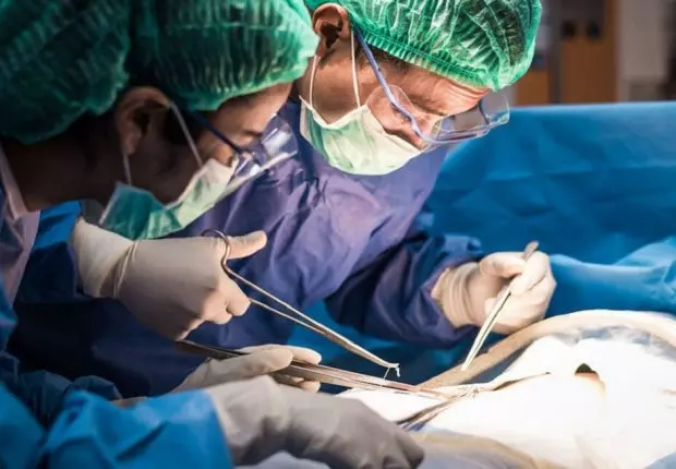 Pr Chaouche : « l’importation de greffons trop onéreuse prendra bientôt fin »