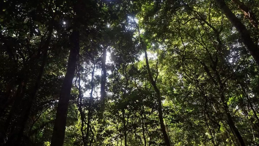 Tourisme : deux jeunes filles kidnappées dans une forêt à Sétif