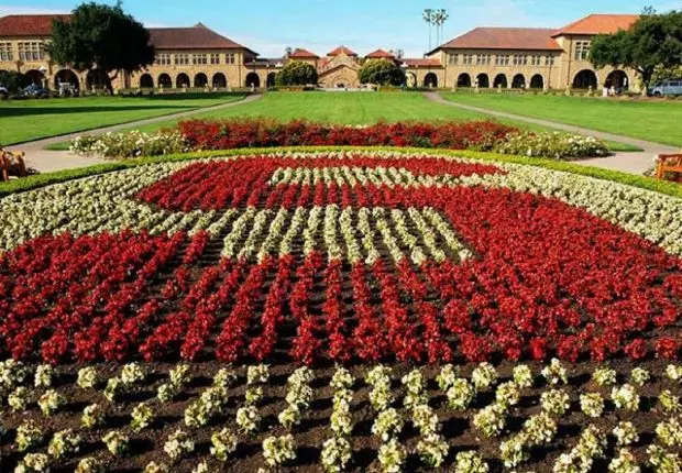 USA : 4 Algériens dans le top des meilleurs scientifiques au monde