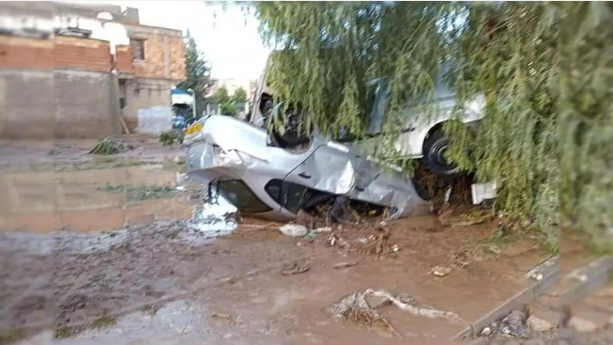 Intempéries : des dégâts humains et matériels signalés dans 3 wilayas