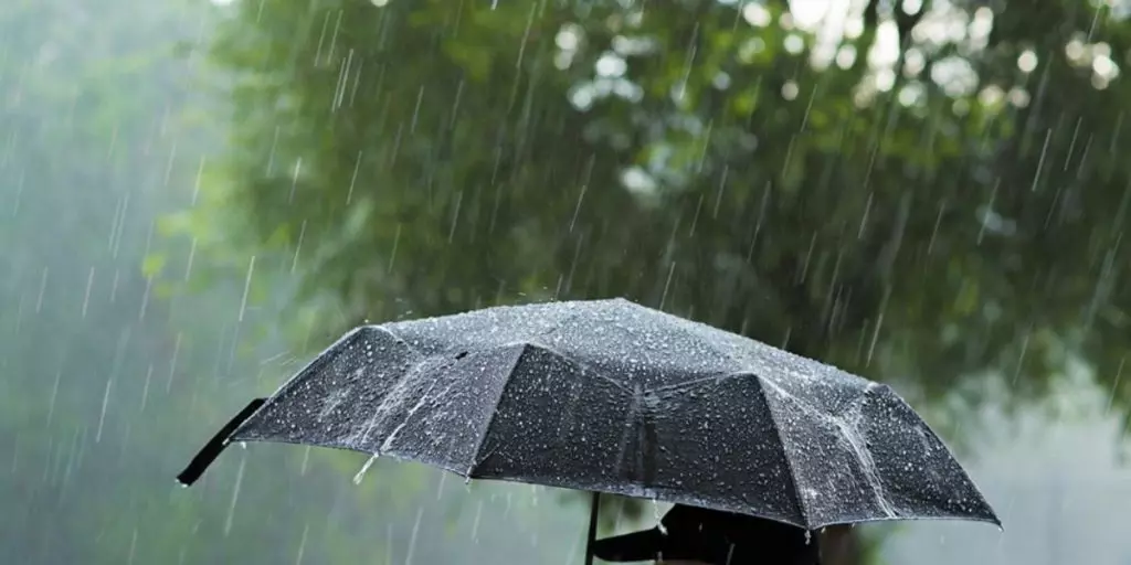 Météo Algérie : prévisions pour ce 28 février, pluie et neige