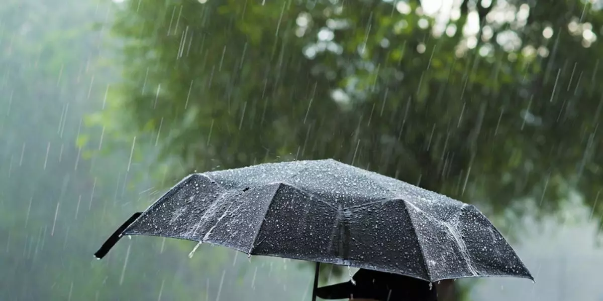 Météo Algérie : prévisions pour ce 28 février, pluie et neige
