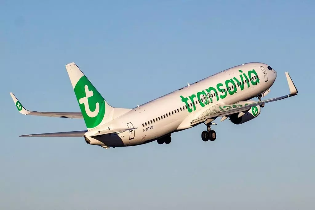 Vol vers l’Algérie : Transavia écarte une reprise imminente