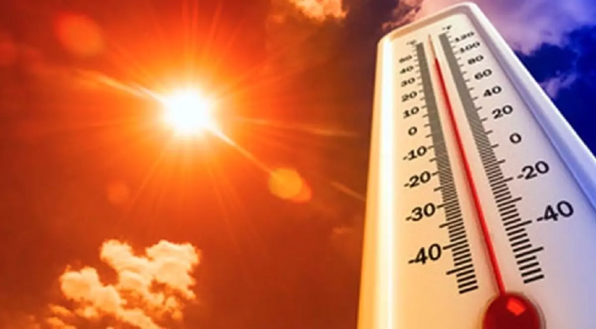 Météo : alerte canicule sur plusieurs wilayas