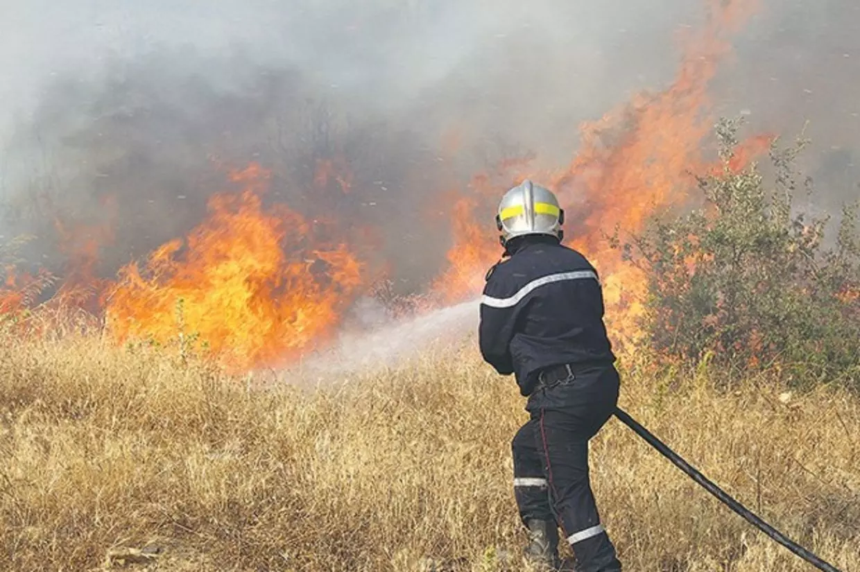 Incendie à Tipaza : les flammes dévorent un champ de blé