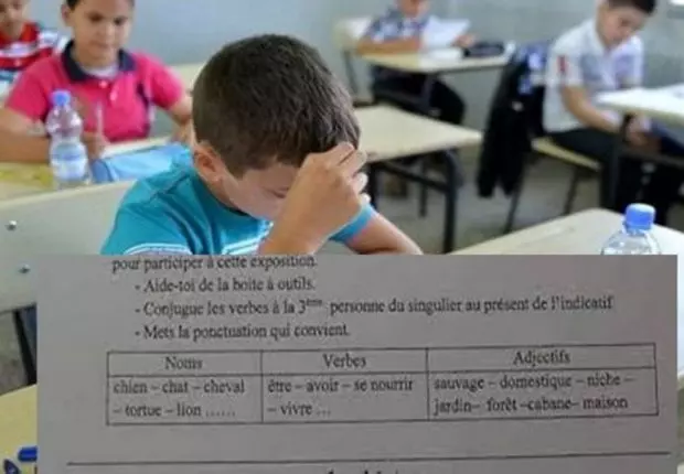 Erreur au sujet de 5e: une illustration du déclin du système éducatif