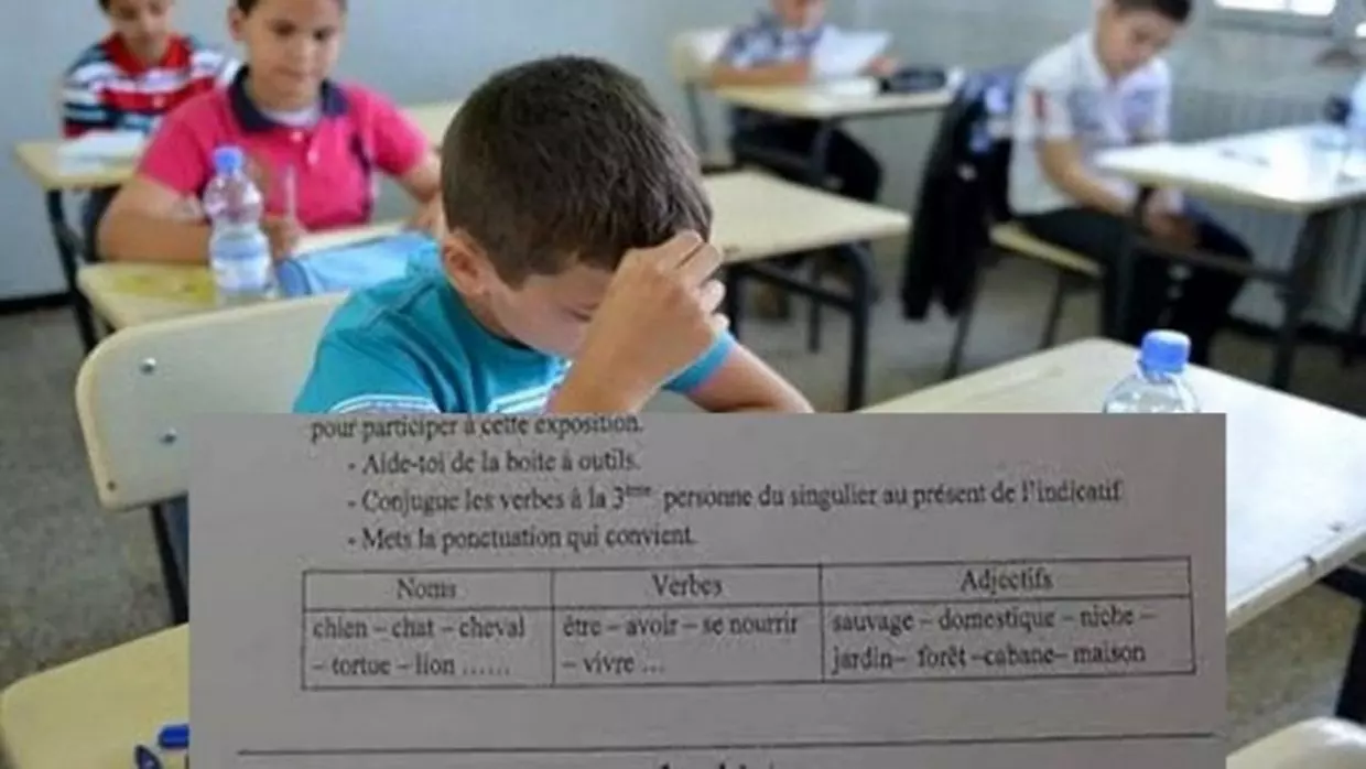 Erreur au sujet de 5e: une illustration du déclin du système éducatif