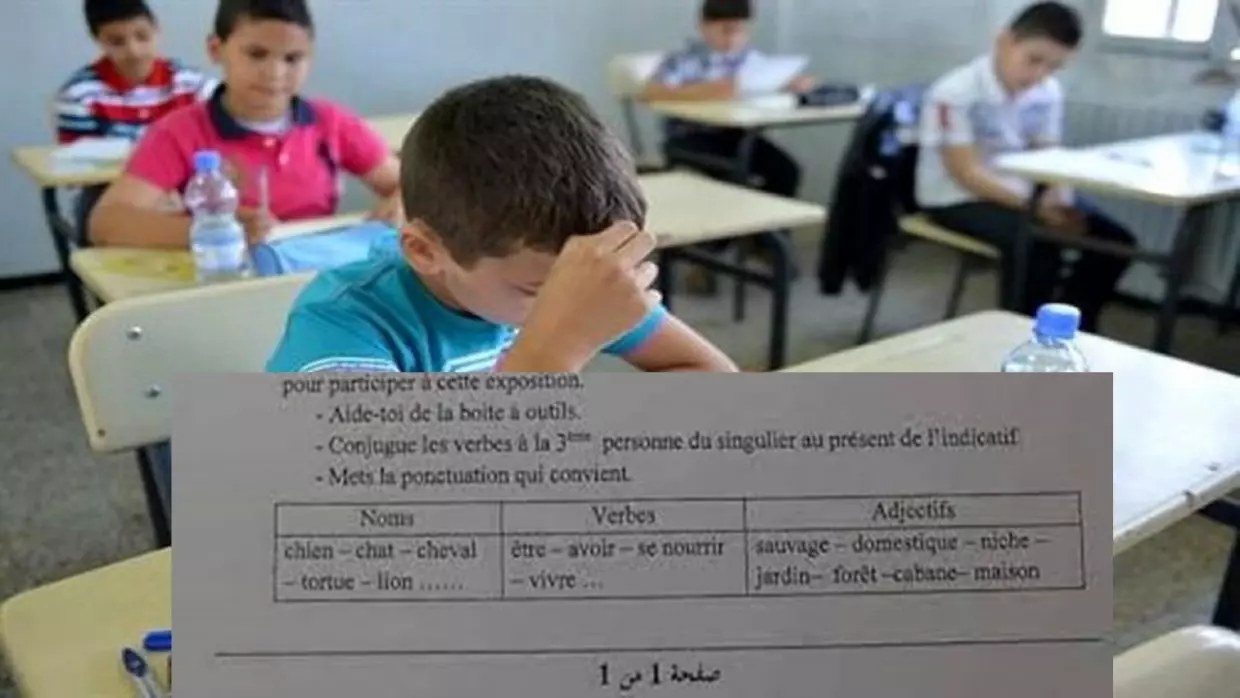 Examen de 5e : une enquête sur l’erreur du sujet de Français