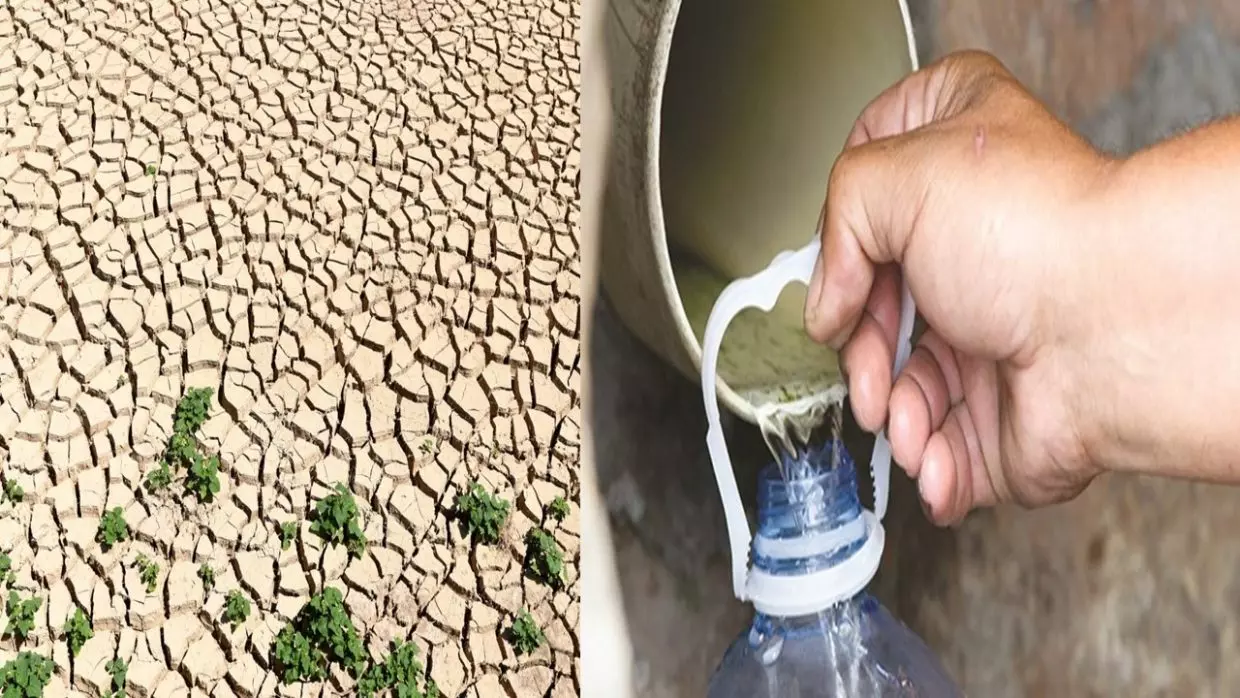 Pénurie d’eau :  22 wilayas fortement touchées