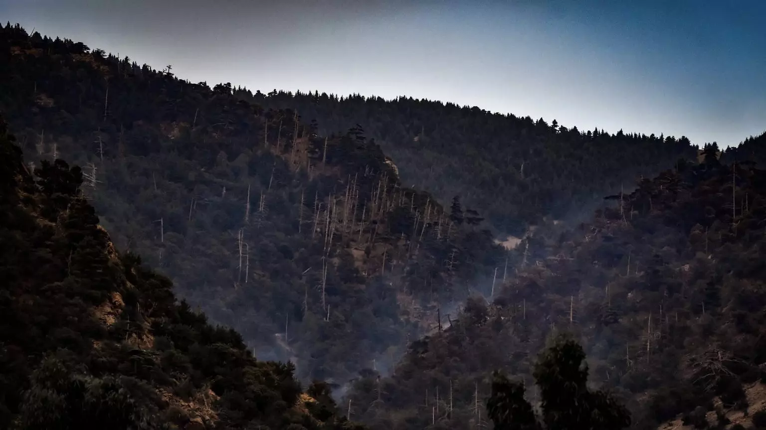 Incendies à Khenchela : un bilan environnemental catastrophique