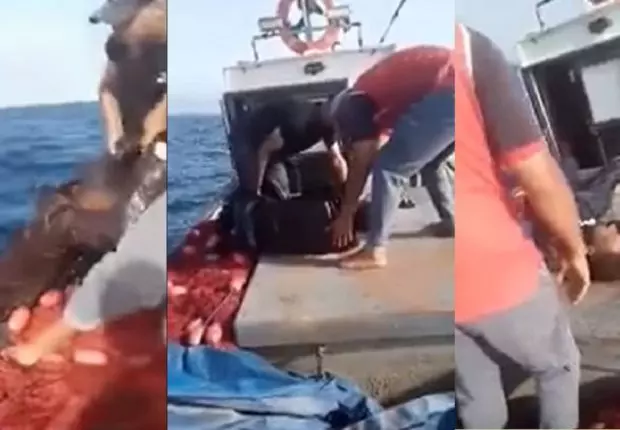 VIDEO. Un Harrag Algérien sauvé in extremis par des pécheurs à Chlef