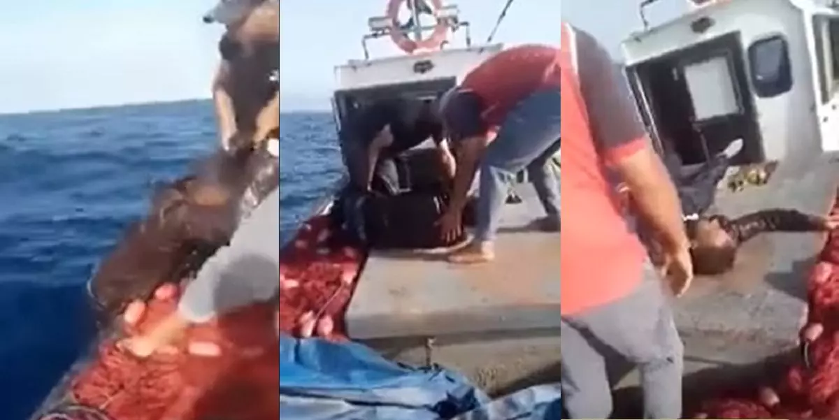 VIDEO. Un Harrag Algérien sauvé in extremis par des pécheurs à Chlef