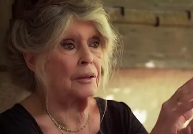 Droits des animaux : quand Brigitte Bardot s’adresse à Tebboune