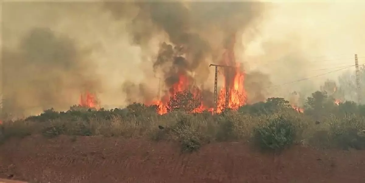 Après Khenchela, les flammes dévorent la forêt de Chenoua à Tipaza