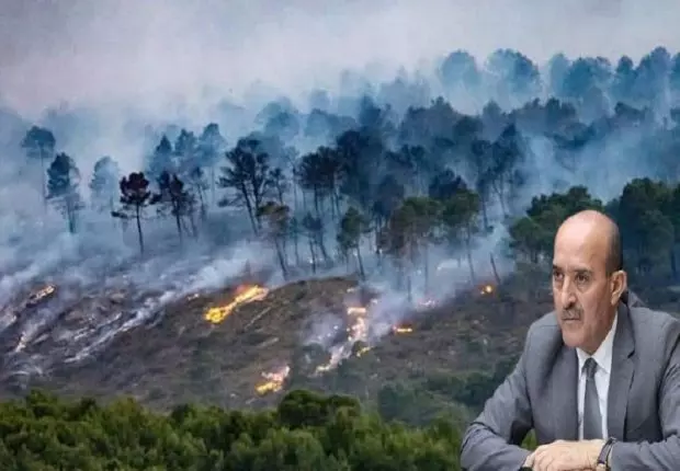 Les révélations de Beldjoud sur les incendies de Khenchela