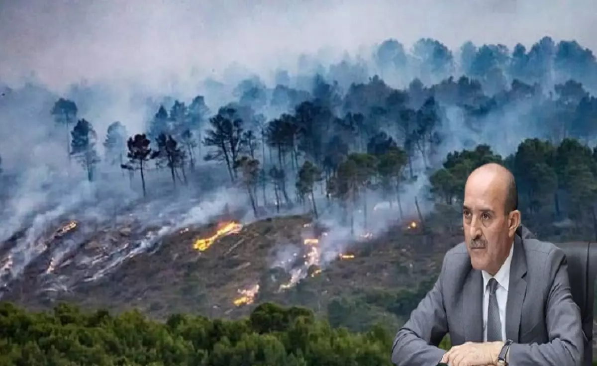Les révélations de Beldjoud sur les incendies de Khenchela