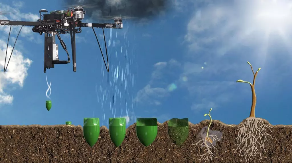 Incendies en Algérie : des drones pour reboiser les forêts ?