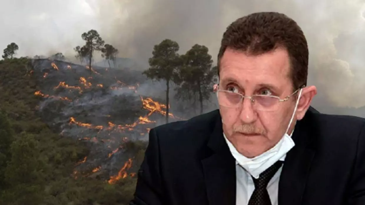 Incendie de Khenchela : Hamdani écarte « la thèse du complot »