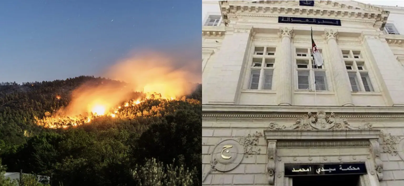 Incendies à Médéa : arrestation de 3 criminels