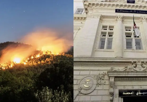 Incendies à Médéa : arrestation de 3 criminels