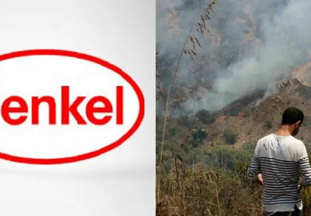 Incendies : Henkel Algérie solidaire avec les régions sinistrées