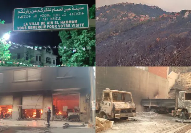 REPORTAGE. Incendies en Kabylie : retour sur l’horreur vécue à Ain El Hammam