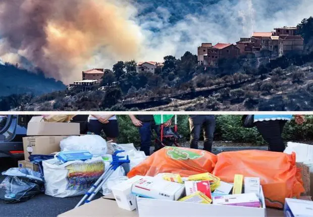 Feux de forêt : vaste élan de solidarité de la diaspora en France