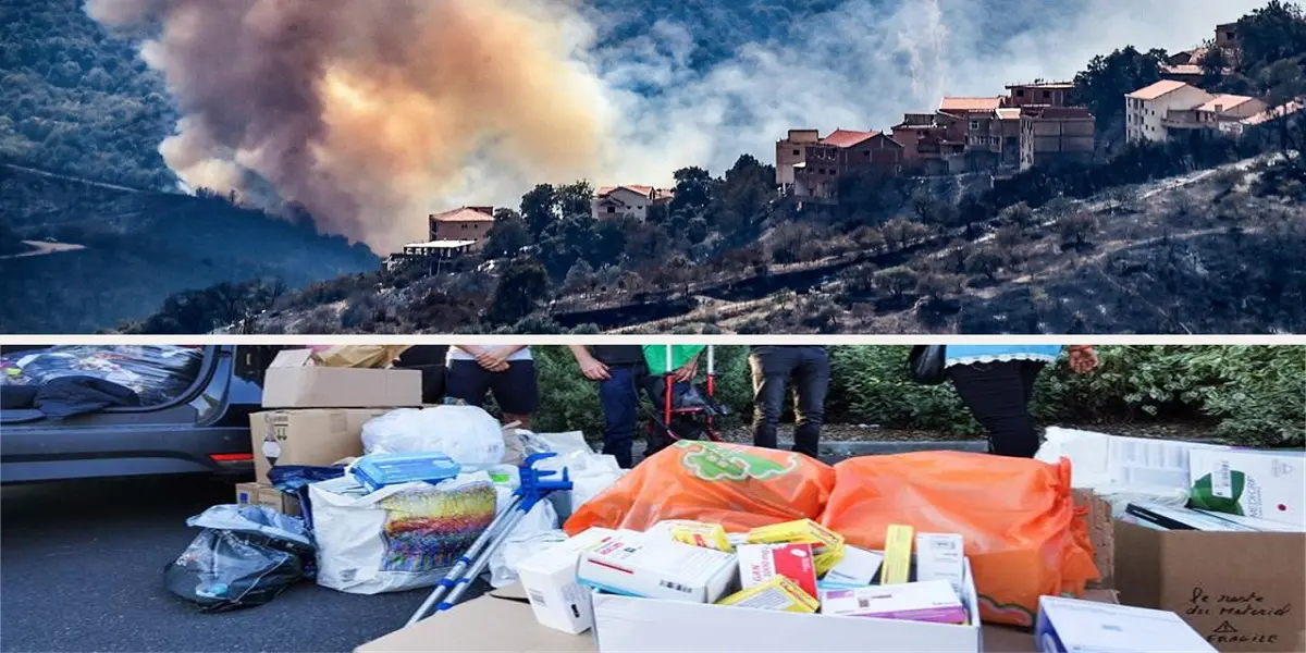 Feux de forêt : vaste élan de solidarité de la diaspora en France