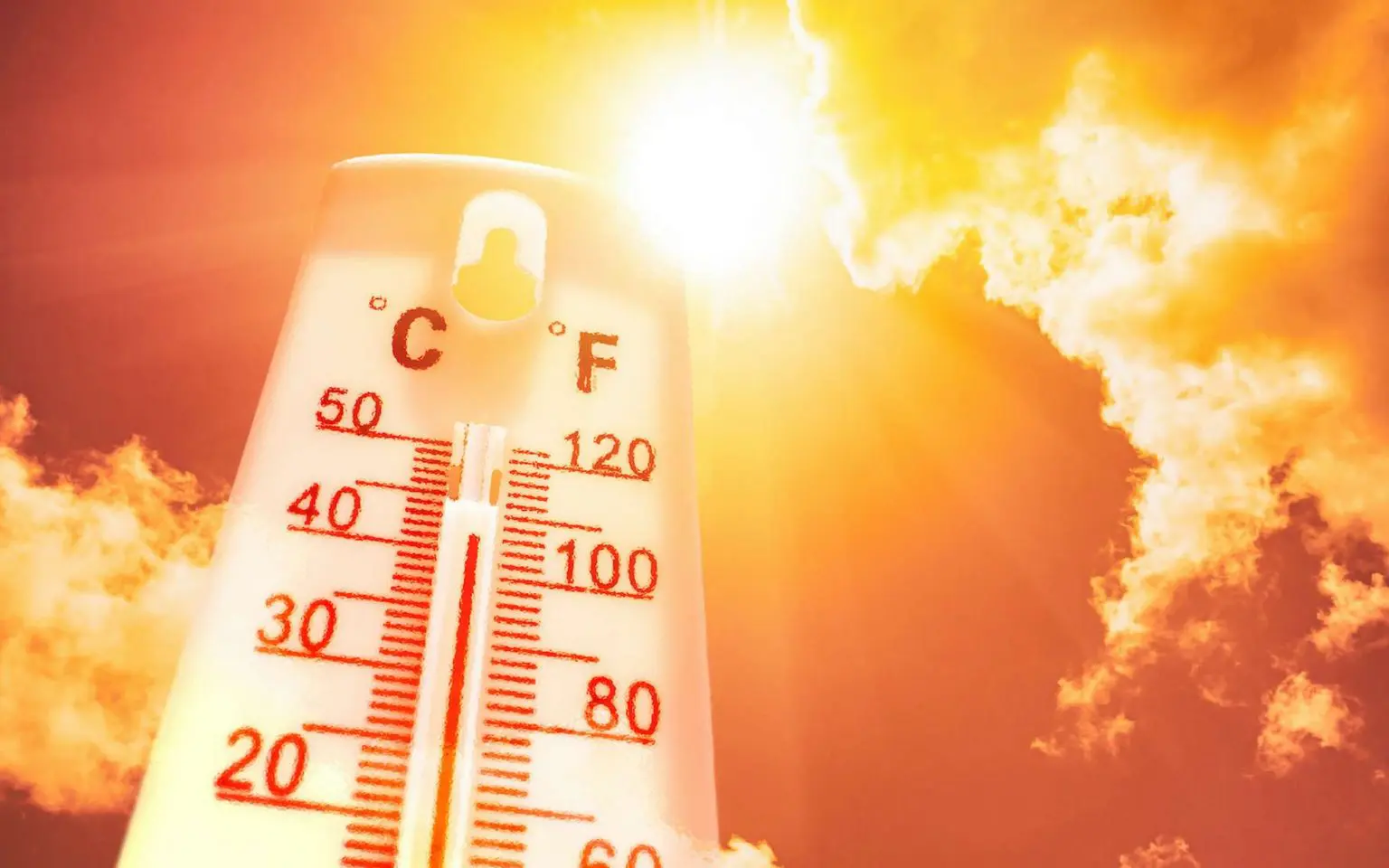 Météo : canicule dans toute l’Algérie