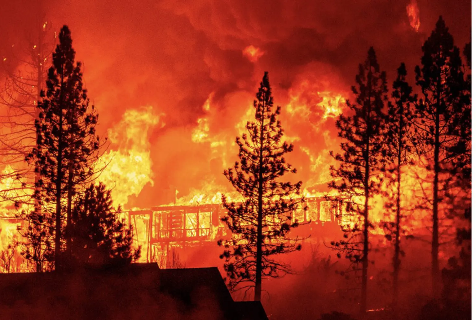 Juillet 2021 : le mois le plus chaud jamais enregistré