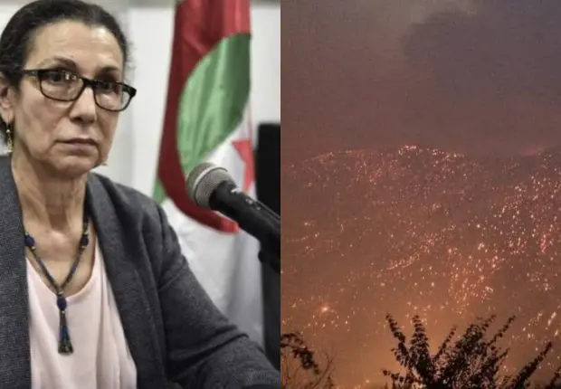 Le PT :  “l’Etat n’a pas tiré de leçons des incendies de Khenchela”