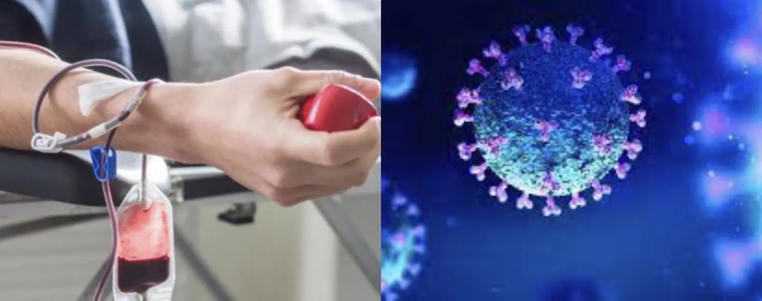 Dr Melhak : « 50% des donneurs de sang sont porteurs du virus »