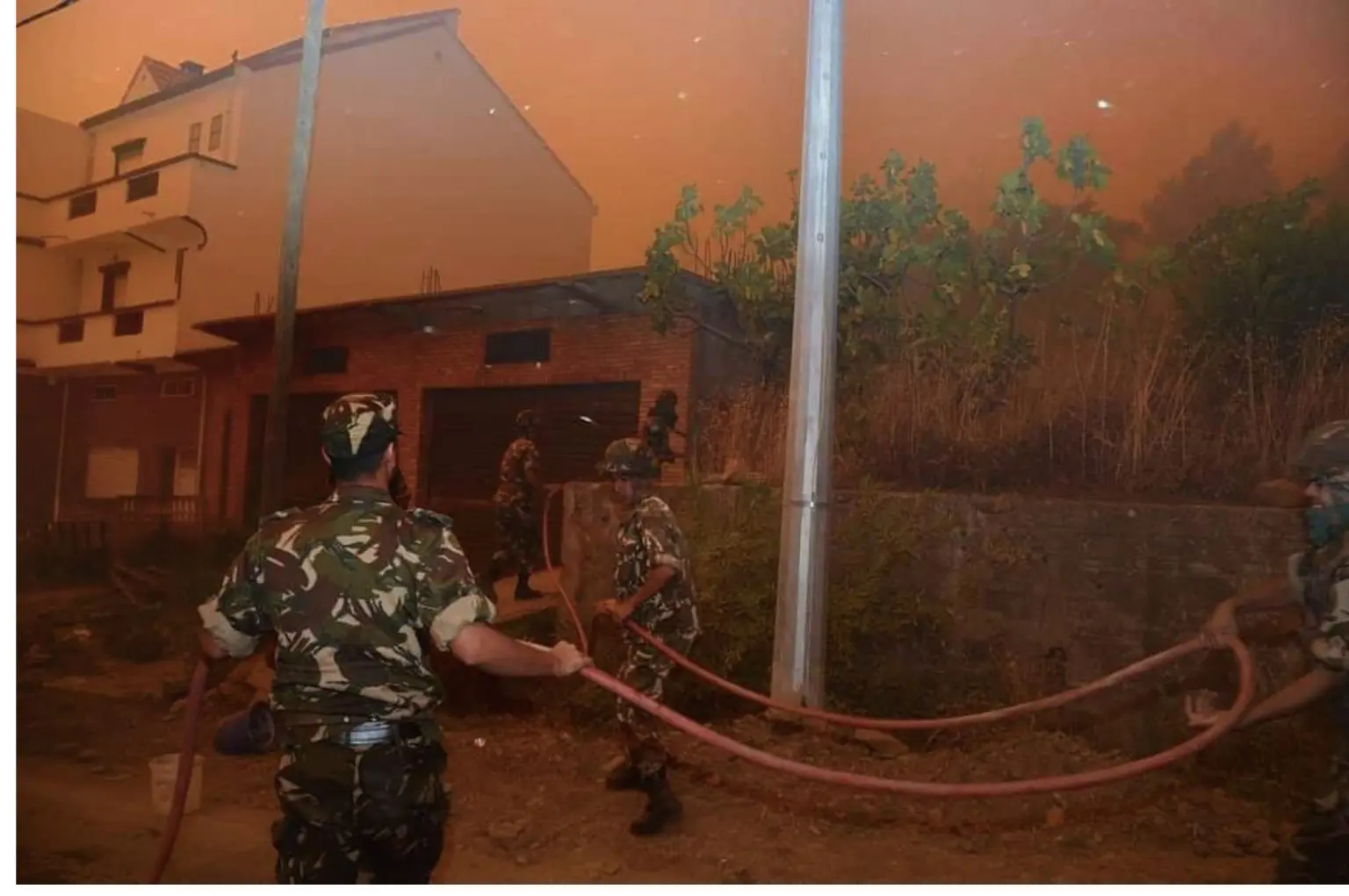 Feux de forets : l’Algérie enregistre 99 incendies en 24 heures