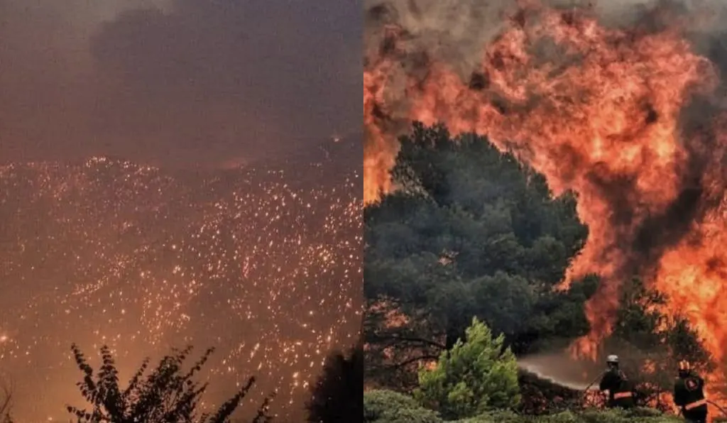 Feux de forêts en Algérie : le Bilan des morts s’alourdit