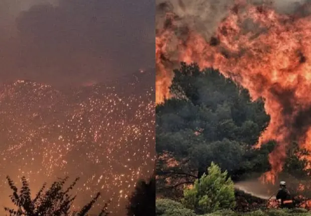 Feux de forêts en Algérie : le Bilan des morts s’alourdit