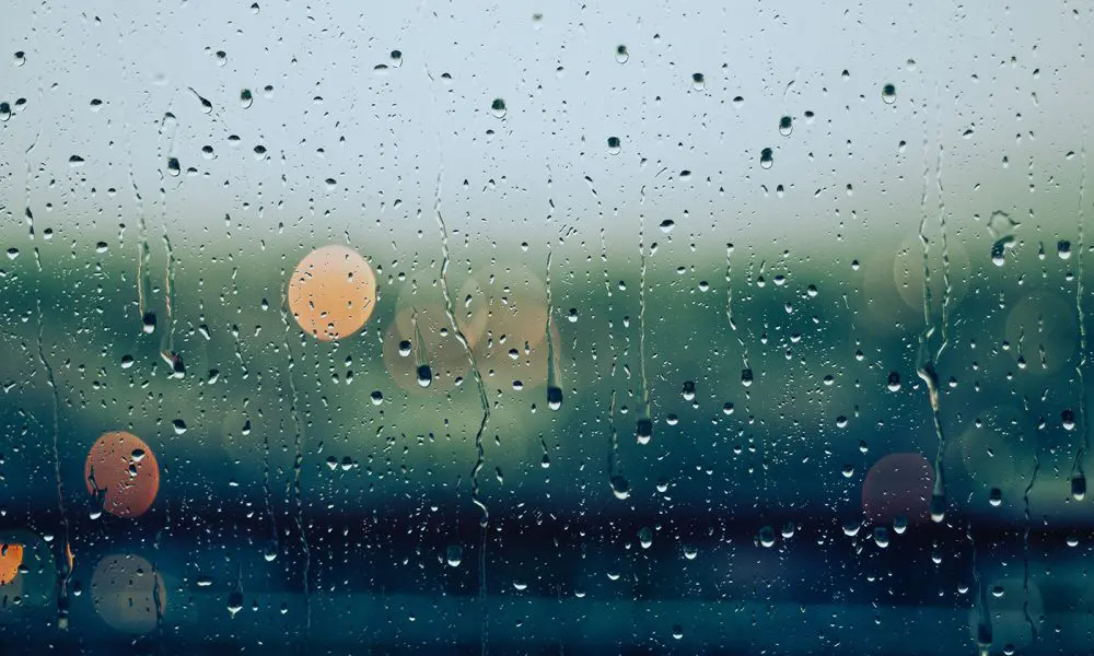 Alerte météo : des orages attendus dans 11 wilayas