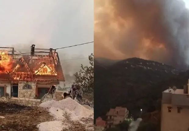 Incendies à Tizi Ouzou : le bilan s’alourdit