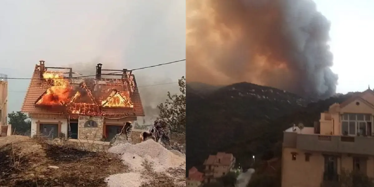 Incendies à Tizi Ouzou : le bilan s’alourdit