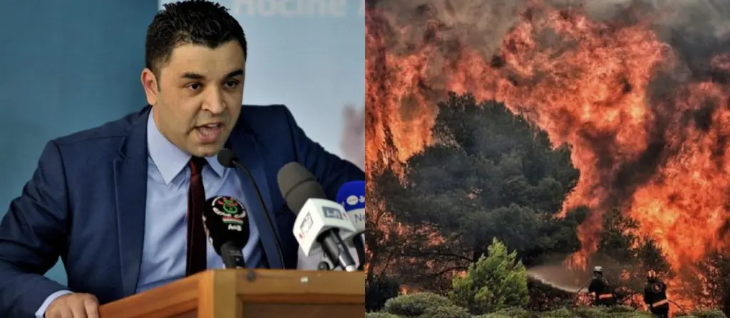 Feux de forêts : le FFS pointe du doigt le gouvernement