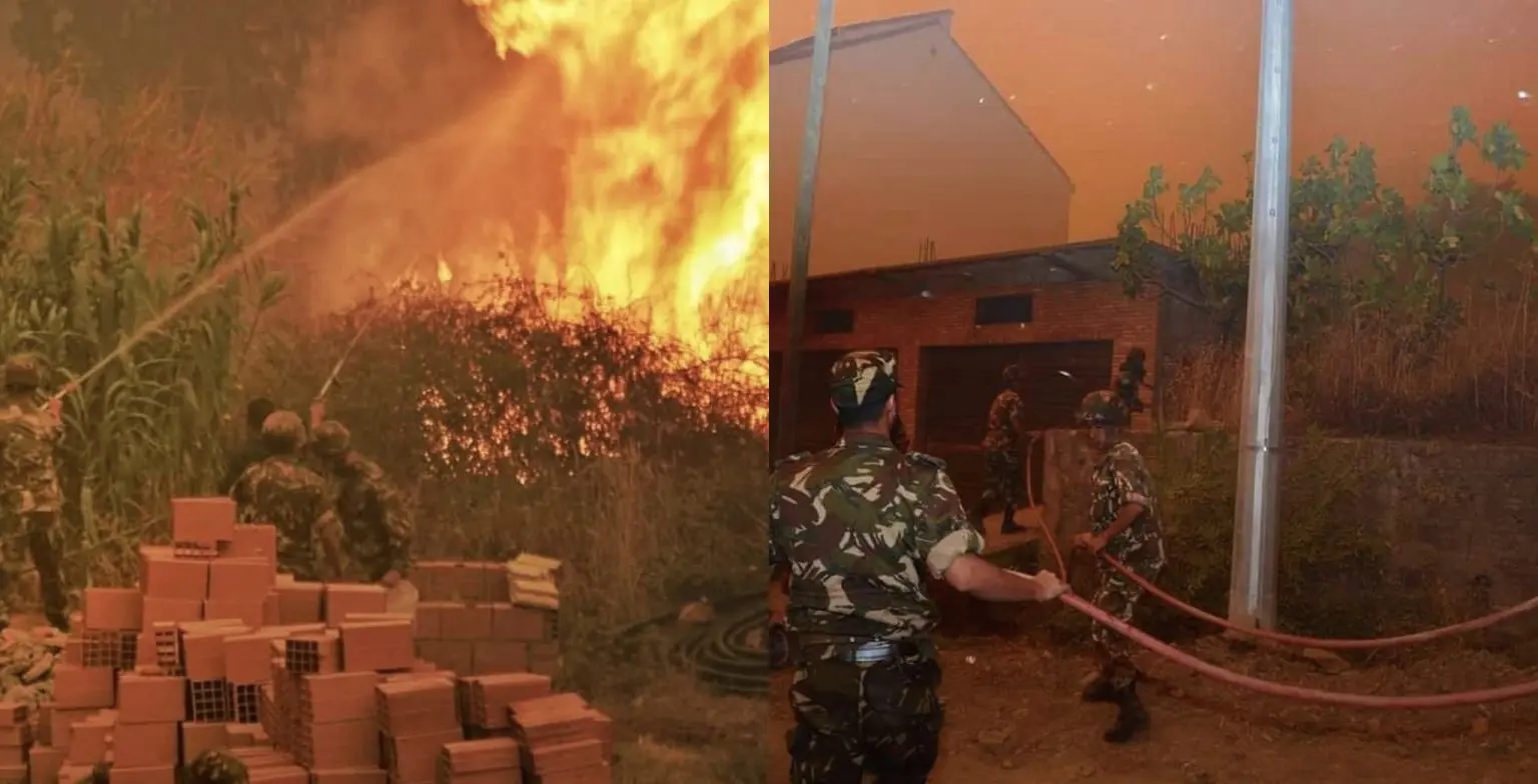 Feux de forêts : le Bilan grimpe à 65 morts