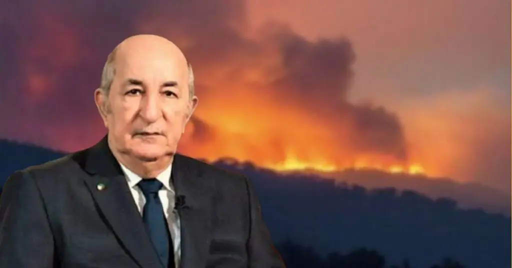Feux de forêts en Algérie : Tebboune s&rsquo;exprime