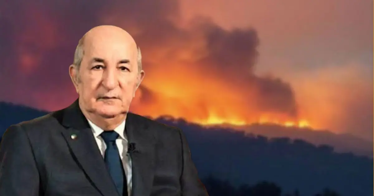 Feux de forêts en Algérie : Tebboune s’exprime