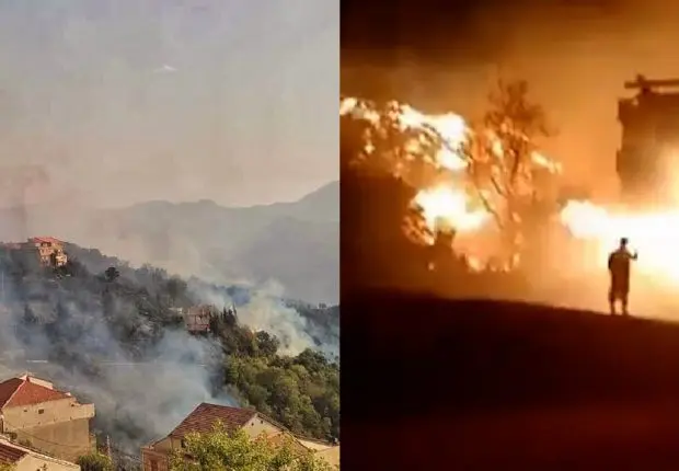 Feux de forets : arrestation de 22 présumés pyromanes dans 5 wilayas